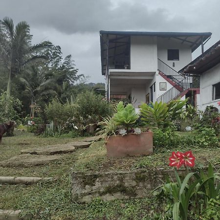 Finca Exclusividad Familiar O Grupo De Amigos Capacidad Hasta 12 Personas Calles En Placa Huella, Caminata Ecologica Alban  Dış mekan fotoğraf