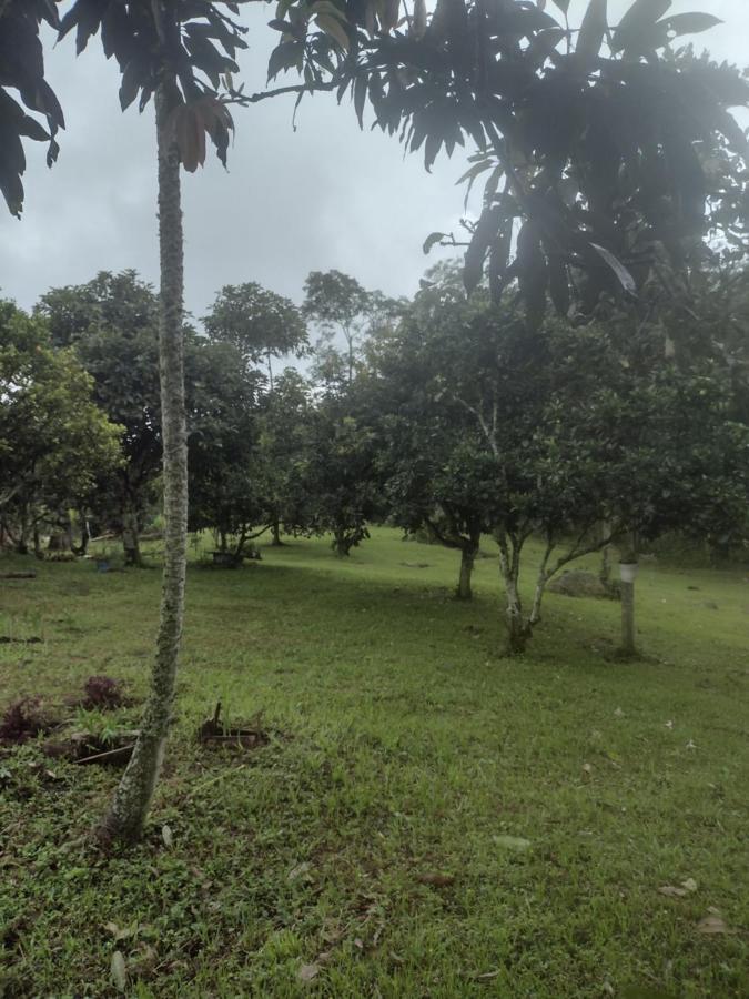 Finca Exclusividad Familiar O Grupo De Amigos Capacidad Hasta 12 Personas Calles En Placa Huella, Caminata Ecologica Alban  Dış mekan fotoğraf