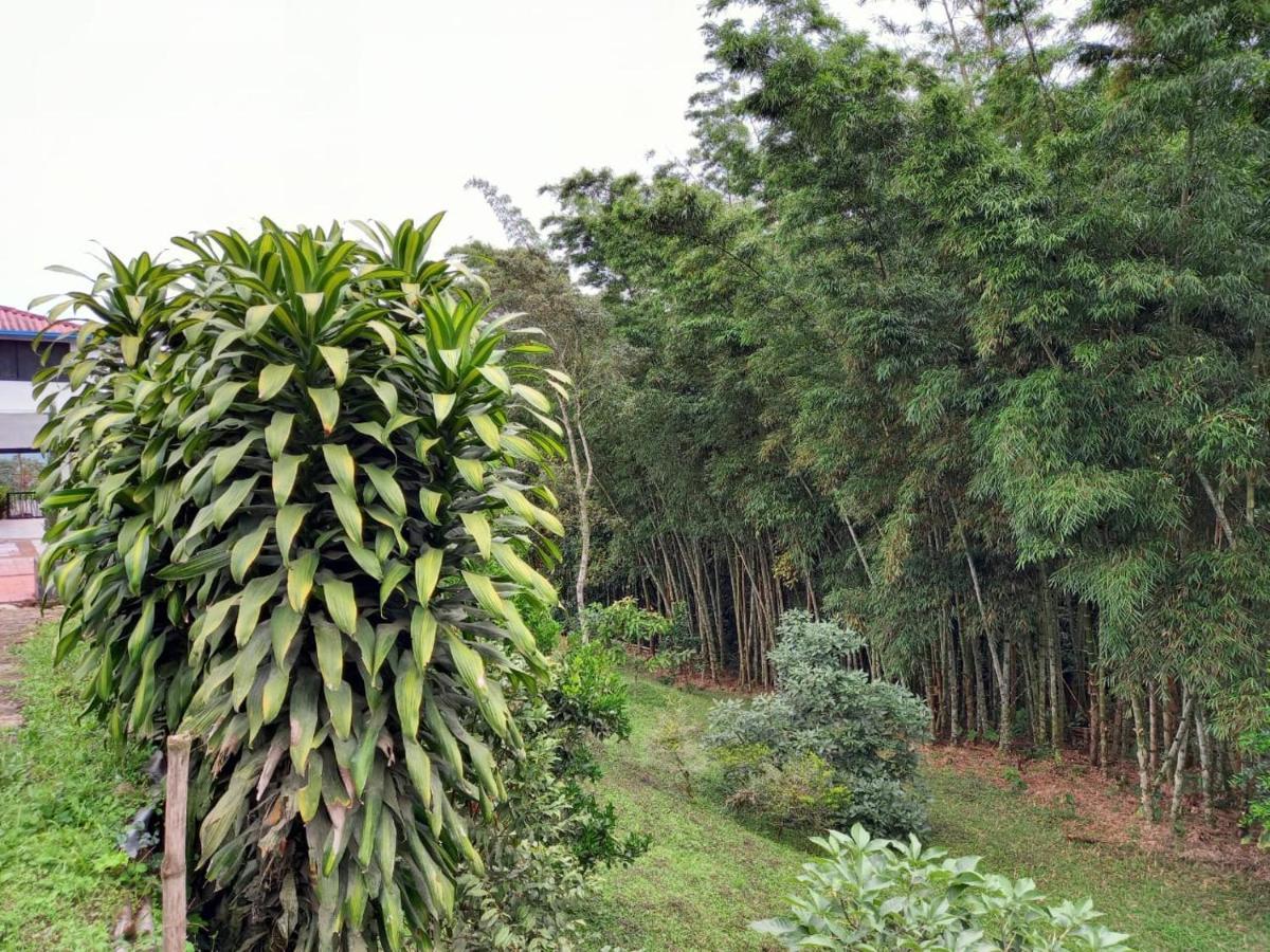 Finca Exclusividad Familiar O Grupo De Amigos Capacidad Hasta 12 Personas Calles En Placa Huella, Caminata Ecologica Alban  Dış mekan fotoğraf