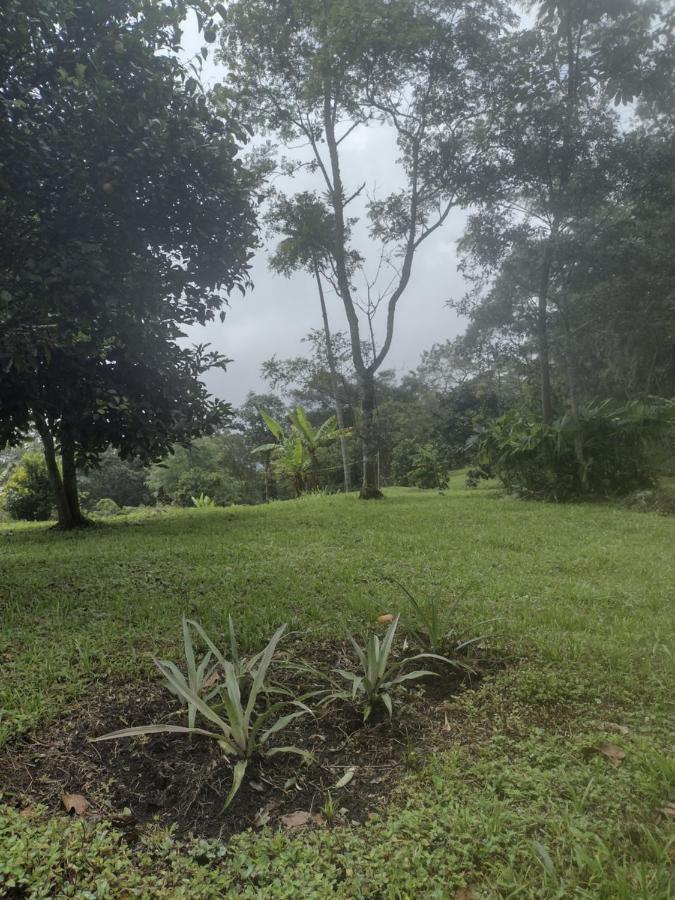 Finca Exclusividad Familiar O Grupo De Amigos Capacidad Hasta 12 Personas Calles En Placa Huella, Caminata Ecologica Alban  Dış mekan fotoğraf