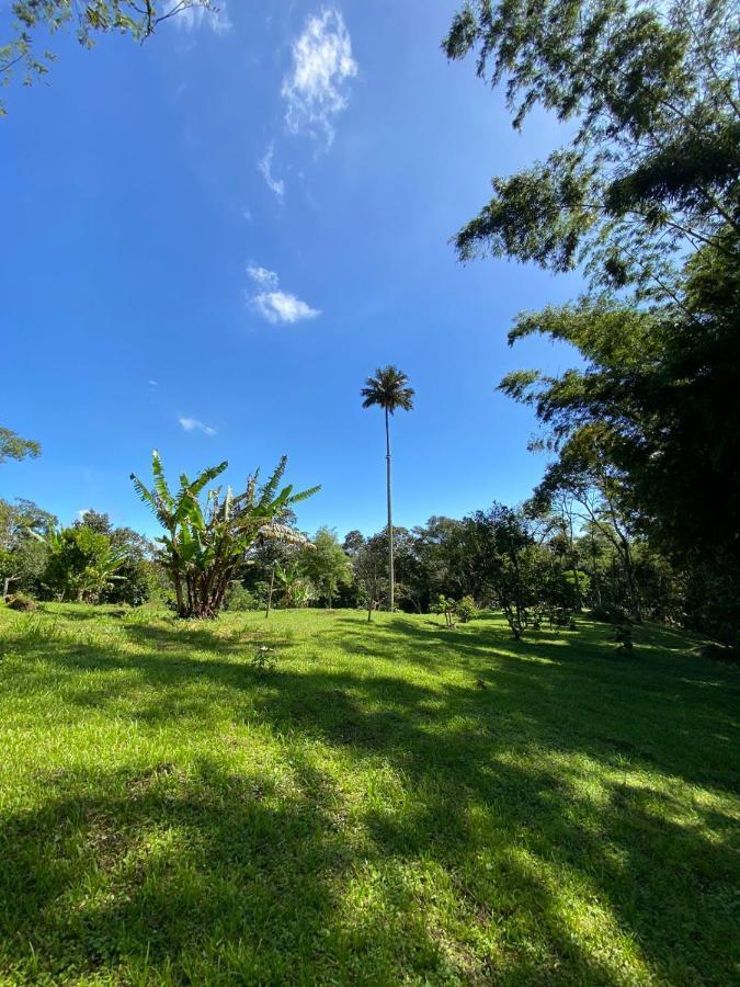 Finca Exclusividad Familiar O Grupo De Amigos Capacidad Hasta 12 Personas Calles En Placa Huella, Caminata Ecologica Alban  Dış mekan fotoğraf