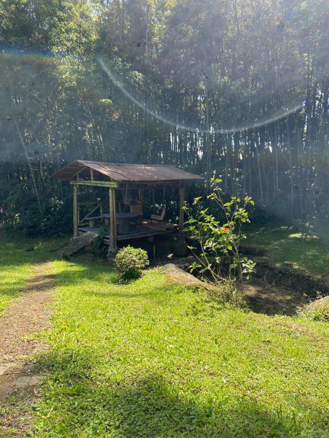 Finca Exclusividad Familiar O Grupo De Amigos Capacidad Hasta 12 Personas Calles En Placa Huella, Caminata Ecologica Alban  Dış mekan fotoğraf