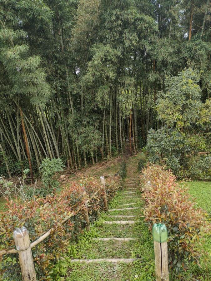 Finca Exclusividad Familiar O Grupo De Amigos Capacidad Hasta 12 Personas Calles En Placa Huella, Caminata Ecologica Alban  Dış mekan fotoğraf