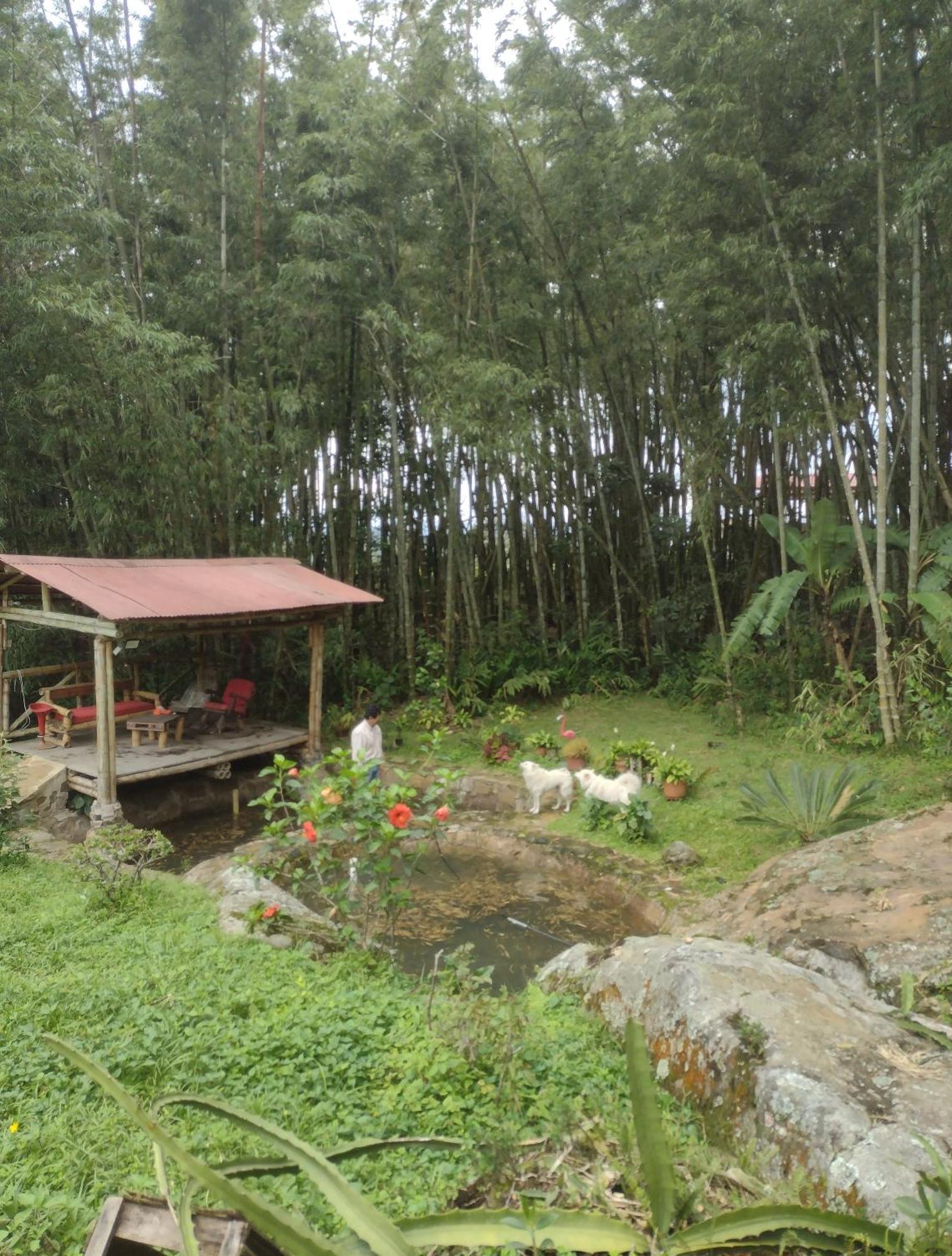 Finca Exclusividad Familiar O Grupo De Amigos Capacidad Hasta 12 Personas Calles En Placa Huella, Caminata Ecologica Alban  Dış mekan fotoğraf